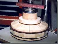 AshBand22_small.jpg (12661 bytes)