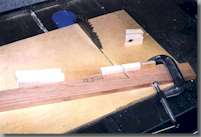 AshBand5_small.jpg (10401 bytes)