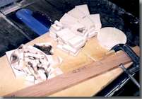 AshBand6_small.jpg (13233 bytes)